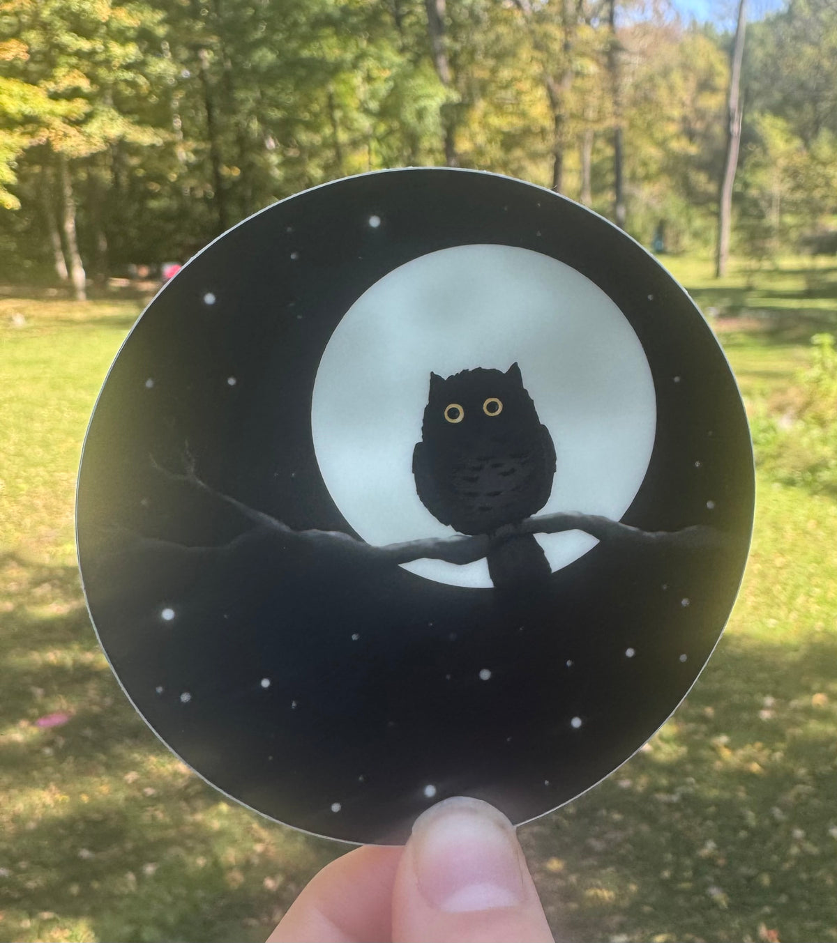 Glow-in-the-dark owl sticker