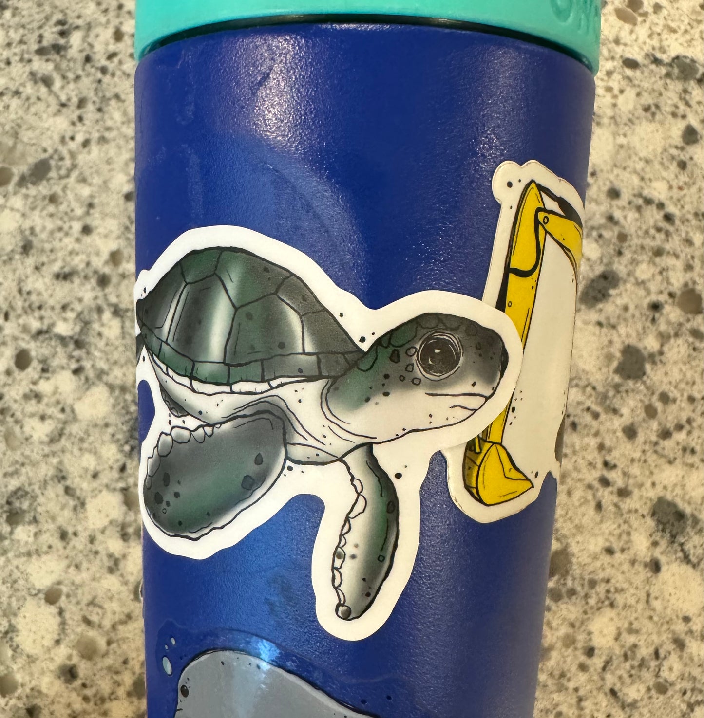 Sea Turtle sticker