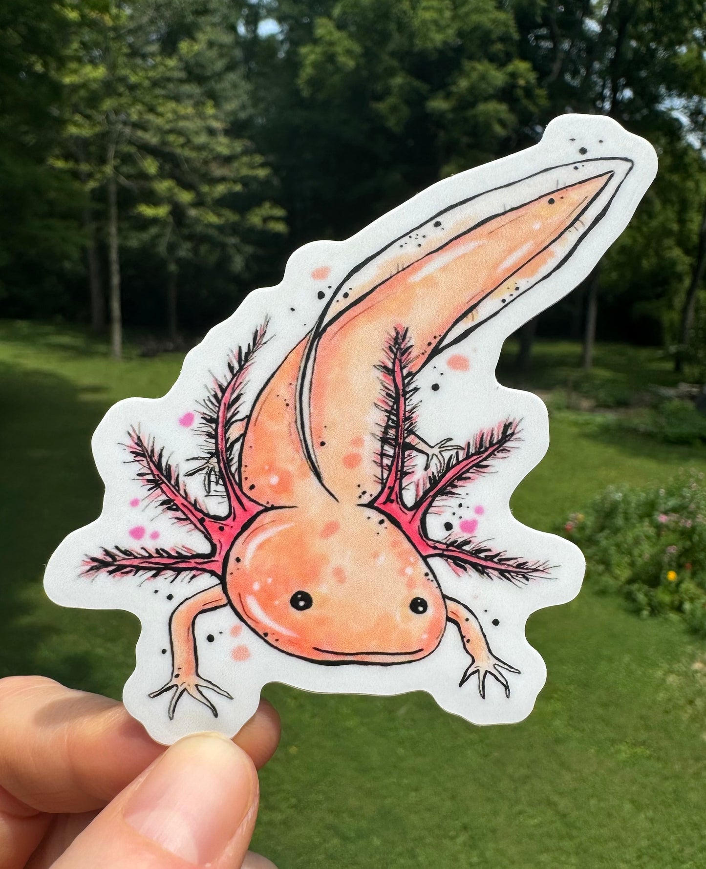 Axolotl sticker