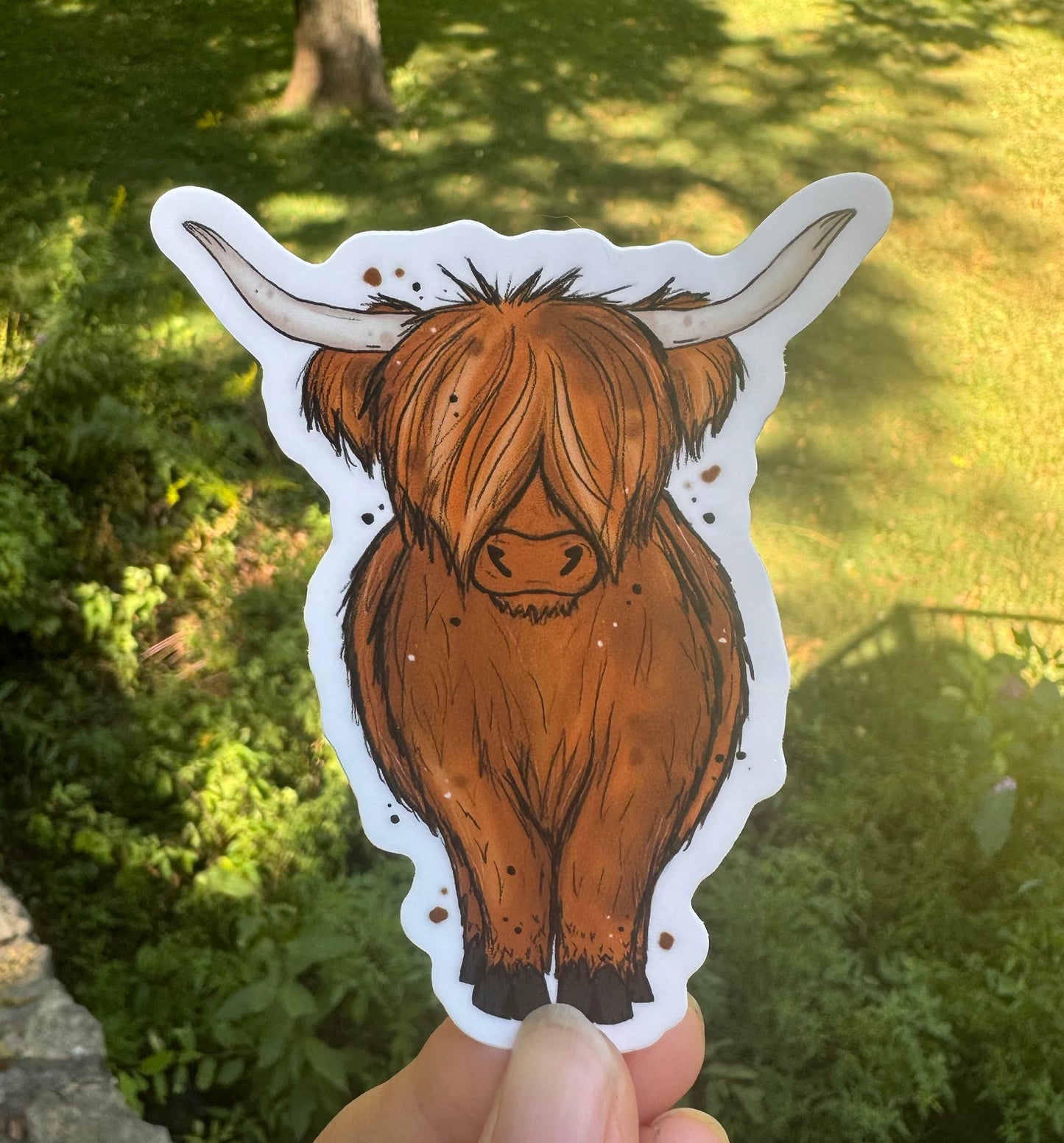 Highland cow sticker