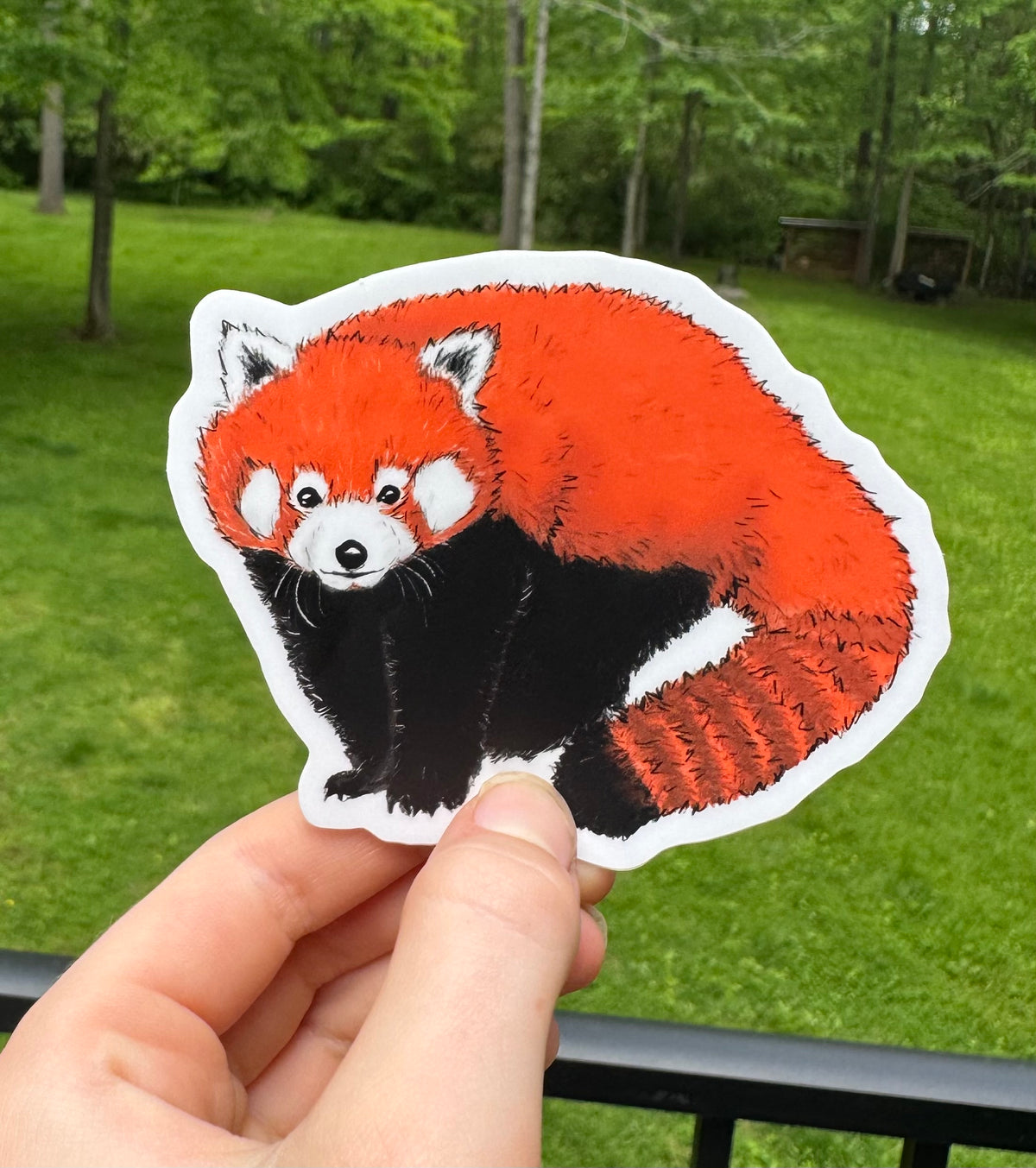 Red panda sticker