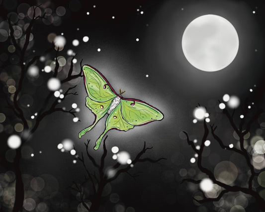 Luna moth night print, 8x10