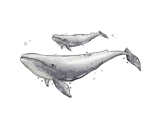 Whale print, 8x10