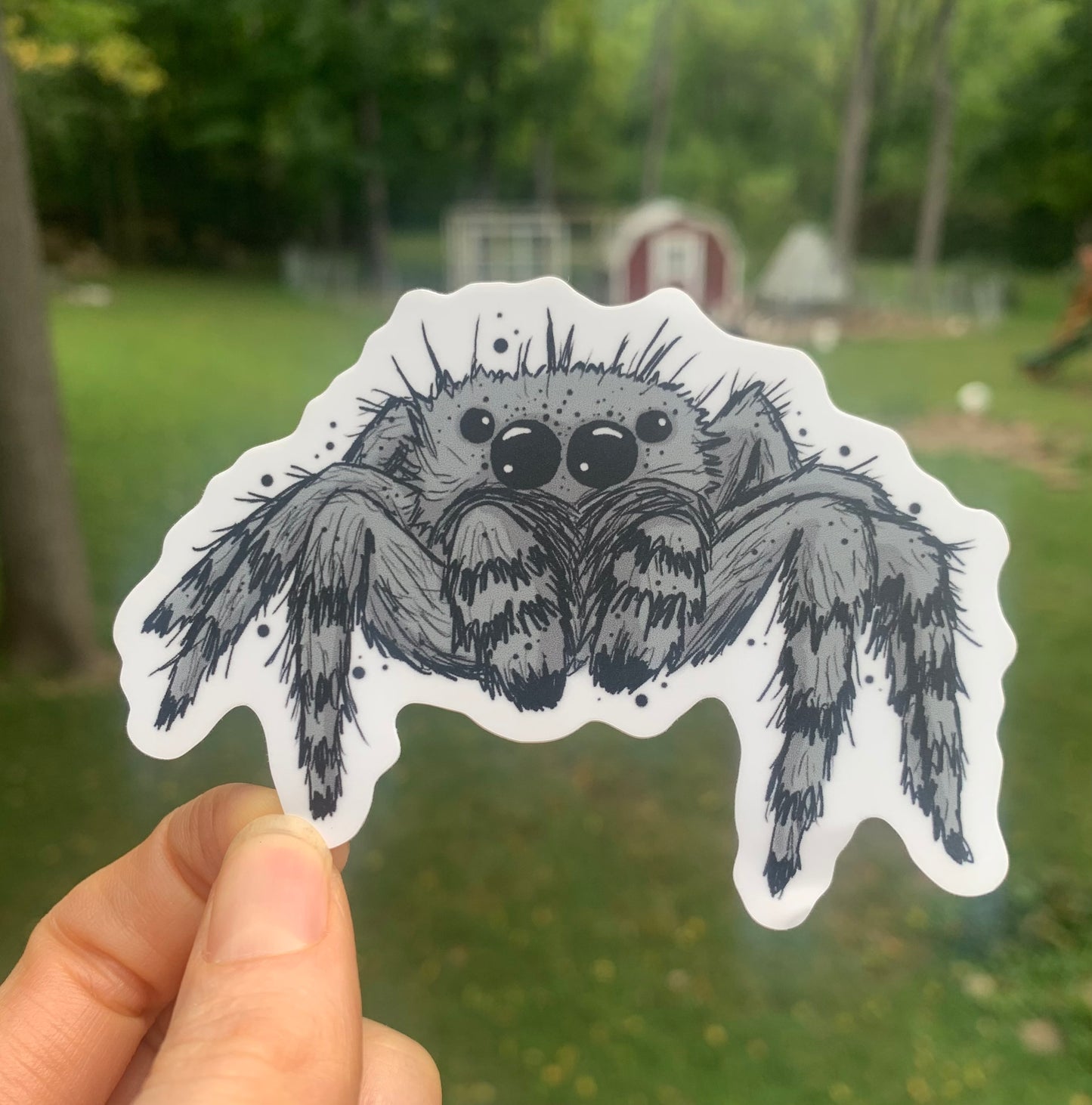 Jumping spider sticker