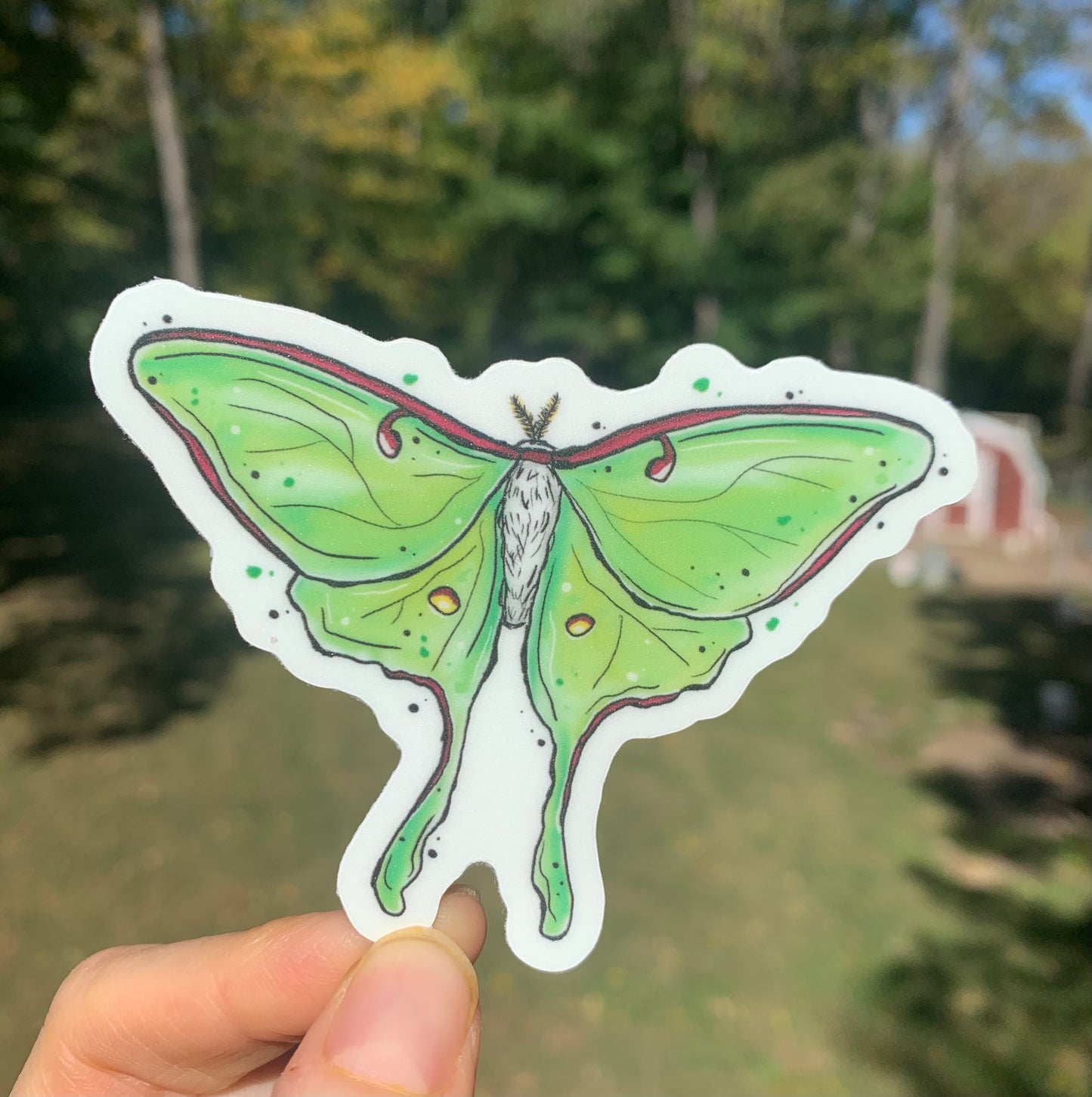 Glow-in-the-dark luna moth sticker