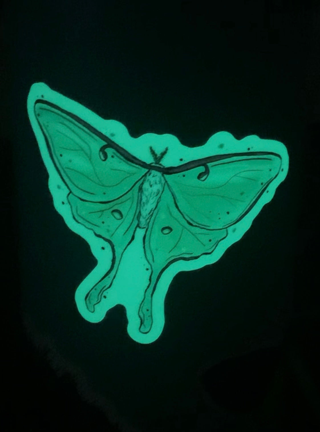 Glow-in-the-dark luna moth sticker