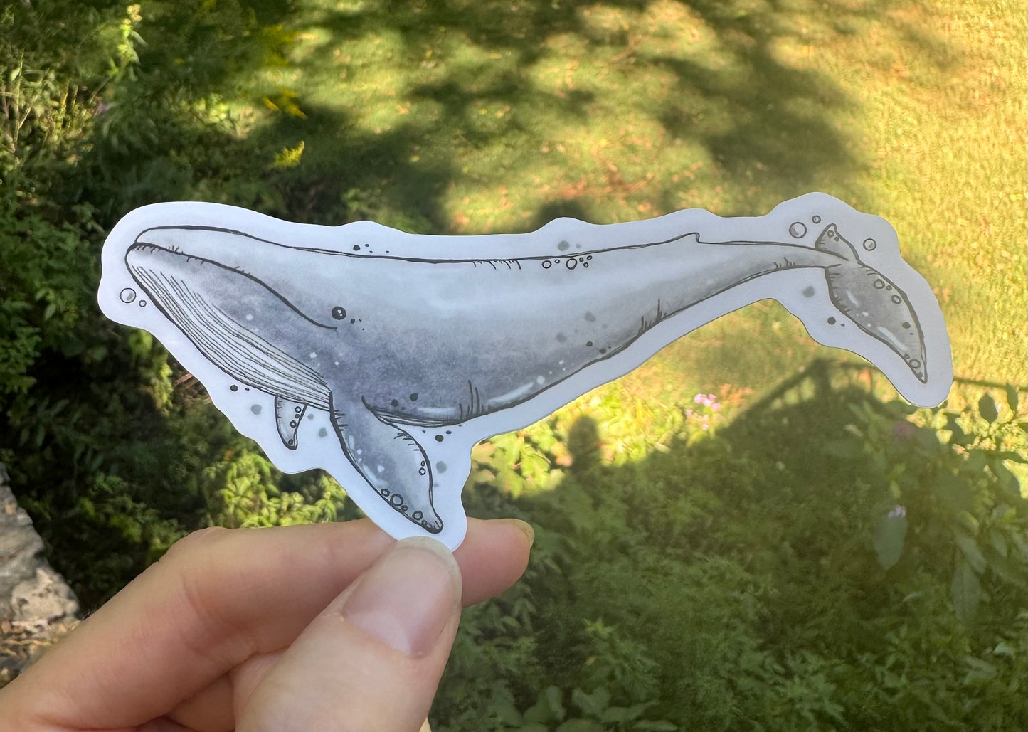 Whale sticker